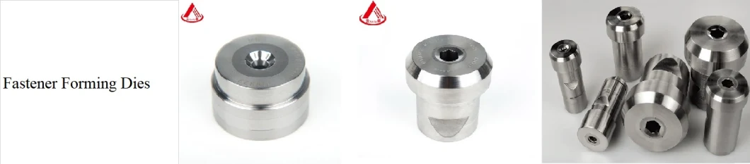 Tungsten Carbide Non Standard Fastener Forming Cold Forging Mould/Die